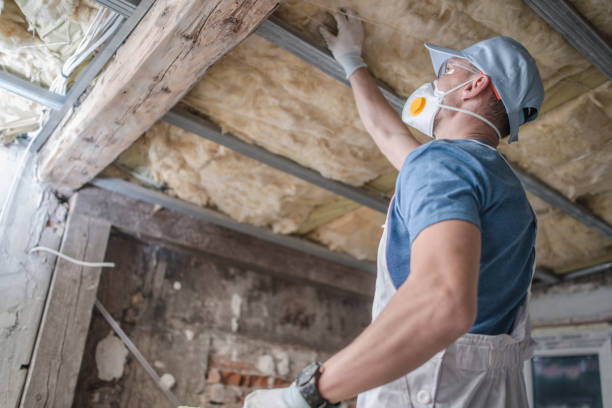 Best Insulation Maintenance and Repair in Hartley, IA